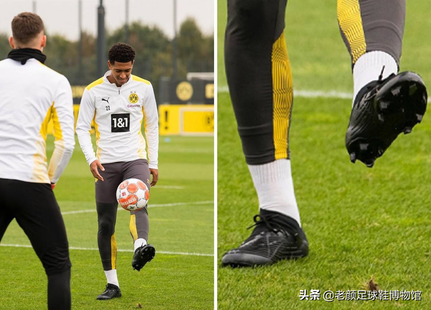 差异尤为明 差异尤为明