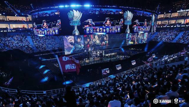 资深球员 资深球员